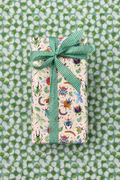 Rollo de papel de regalo Kyoto: regalo envuelto con la cara A (bichos) y cinta verde sobre papel de la cara B (círculos)